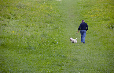 Image showing Walkies