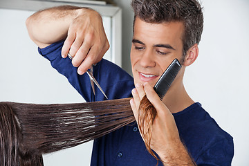 Image showing Hairdresser Cutting Client's Hair