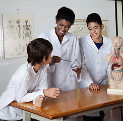 Image showing Teacher Teaching Experiment