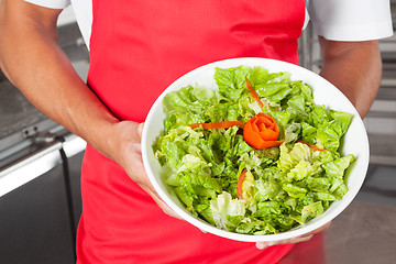 Image showing Chef Presenting Salad In Kitchen