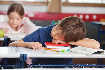 Image showing Boy Sleeping While Girl Studying In Background