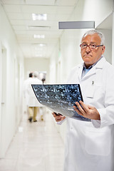 Image showing Radiologist Holding MRI X-ray