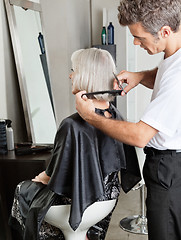 Image showing Woman Getting Hair Cut In Beauty Parlor