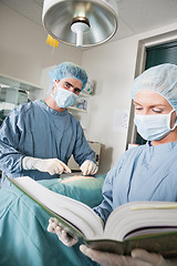 Image showing Veterinarian Doctor Operating With Female Assistant Referring To