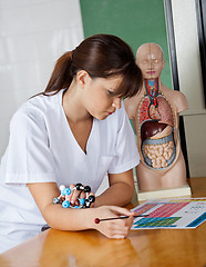 Image showing Schoolgirl With Molecular Structure