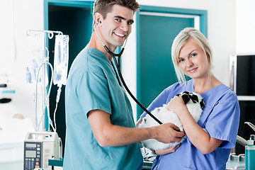 Image showing Veterinarian Doctor Examining A Rabbit's Pulse With Female Nurse