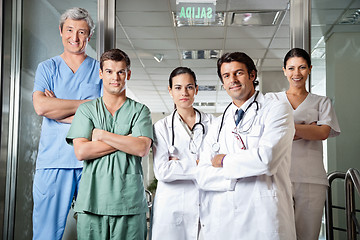 Image showing Confident Medical Professionals