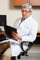 Image showing Mature Male Doctor Reading