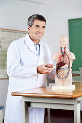 Image showing Professor Looking Away While Analyzing Anatomical Model