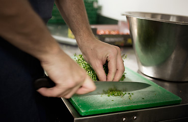 Image showing Chef Cutting Herbs