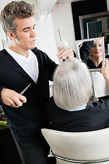 Image showing Hairstylist Cutting Hair At Salon