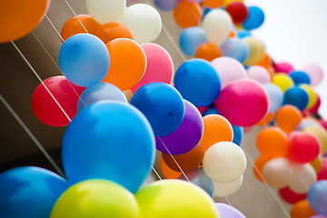 Image showing Colourful air balloons.