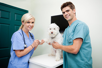 Image showing Veterinarian Doctors With A Dog At Clinic