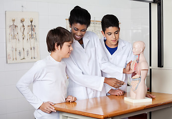 Image showing Teacher Analyzing Anatomical Model With Students At Desk