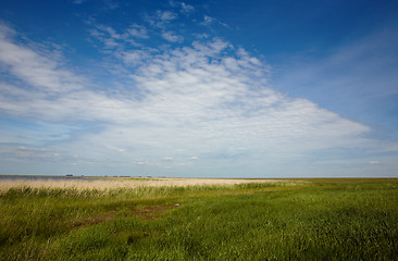 Image showing Summer landscape.