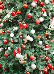 Image showing Decorated Christmas Tree