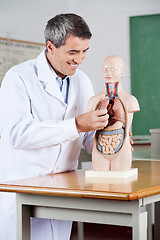 Image showing Happy Professor Examining Anatomical Model