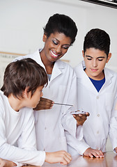 Image showing Teacher With Male Students Experimenting At Desk