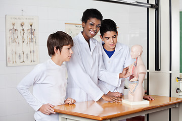 Image showing Teacher With Students And Anatomical Model In Lab