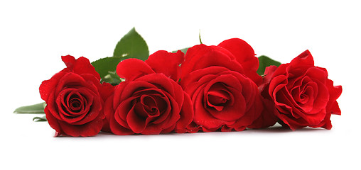 Image showing Red roses