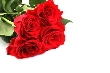 Image showing Red roses