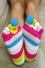 Image showing Bright Socks