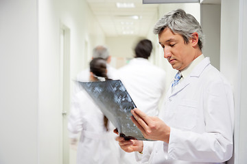 Image showing Radiologist Reviewing X-ray