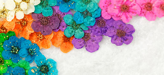 Image showing Colorful dried spring flowers