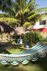 Image showing hammock sun resort Big Corn Island Nicaragua Central America