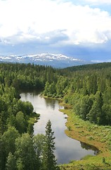 Image showing Rural landscape