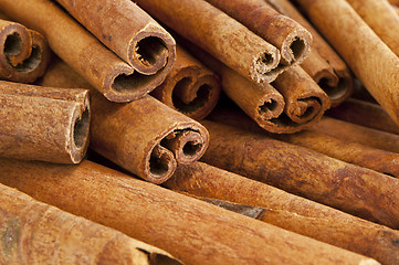 Image showing Cinnamon sticks