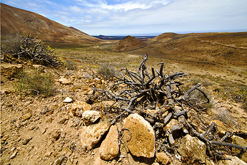 Image showing vulcanic timanfaya  rock stone sky  