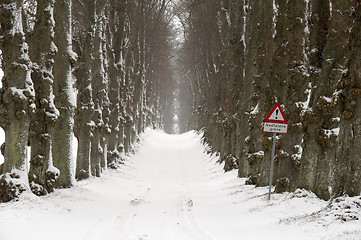 Image showing Pathway at winter