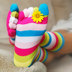 Image showing Bright Socks