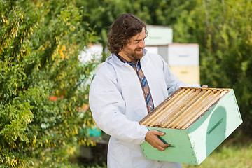 Image showing Beekeeper Looking At Crate Full Of Honeycombs