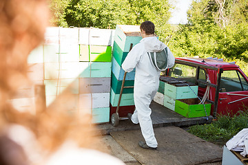 Image showing Male Beekeeper Loading Stacked Honeycomb Crates