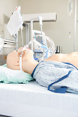 Image showing Dummy Patient In Hospital