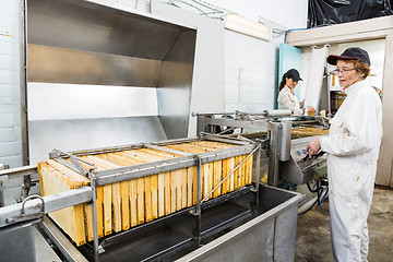 Image showing Female Beekeeper Operating Honey Extraction Plant