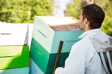 Image showing Beekeeper Loading Honeycomb Crates