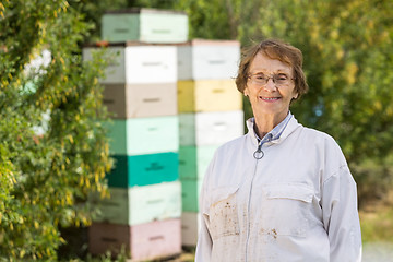 Image showing Confident Female Beekeeper At Apiary