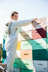 Image showing Beekeeper Loading Stacked Honeycomb Crates