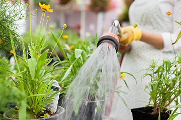 Image showing Midsection Of Florist Watering Flower Pots