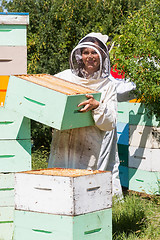 Image showing Portrait Of Beekeeper Working At Apiary