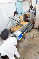 Image showing Beekeepers Working On Honey Extraction Plant