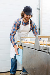 Image showing Happy Beekeeper Collecting Honeycombs In Box