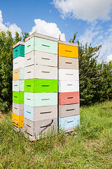 Image showing Stacks Of Honeycomb Crates