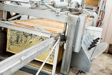 Image showing Honey Extraction Plant