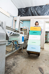 Image showing Beekeeper With Stacked Honeycomb Crates In Trolley