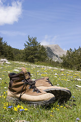 Image showing Summer in the mountains