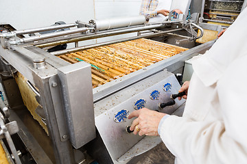 Image showing Female Beekeeper Operating Honey Extraction Plant